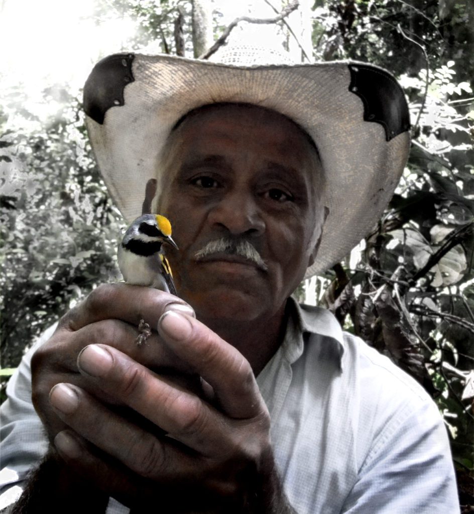 A caballero holds a male Golden-winged Warbler. Photo: Ruth Bennett